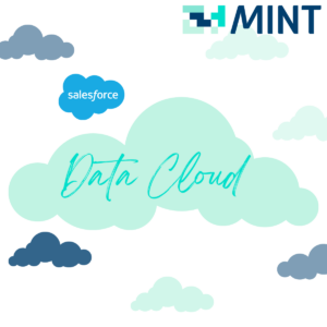 Salesforce® Data Cloud