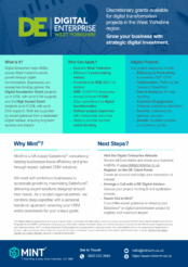 Digital Enterprise Fund Leaflet