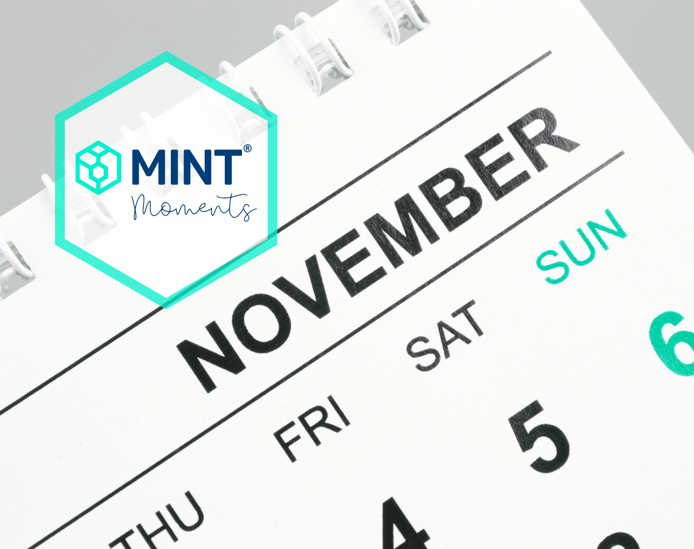 Mint® Moments - November